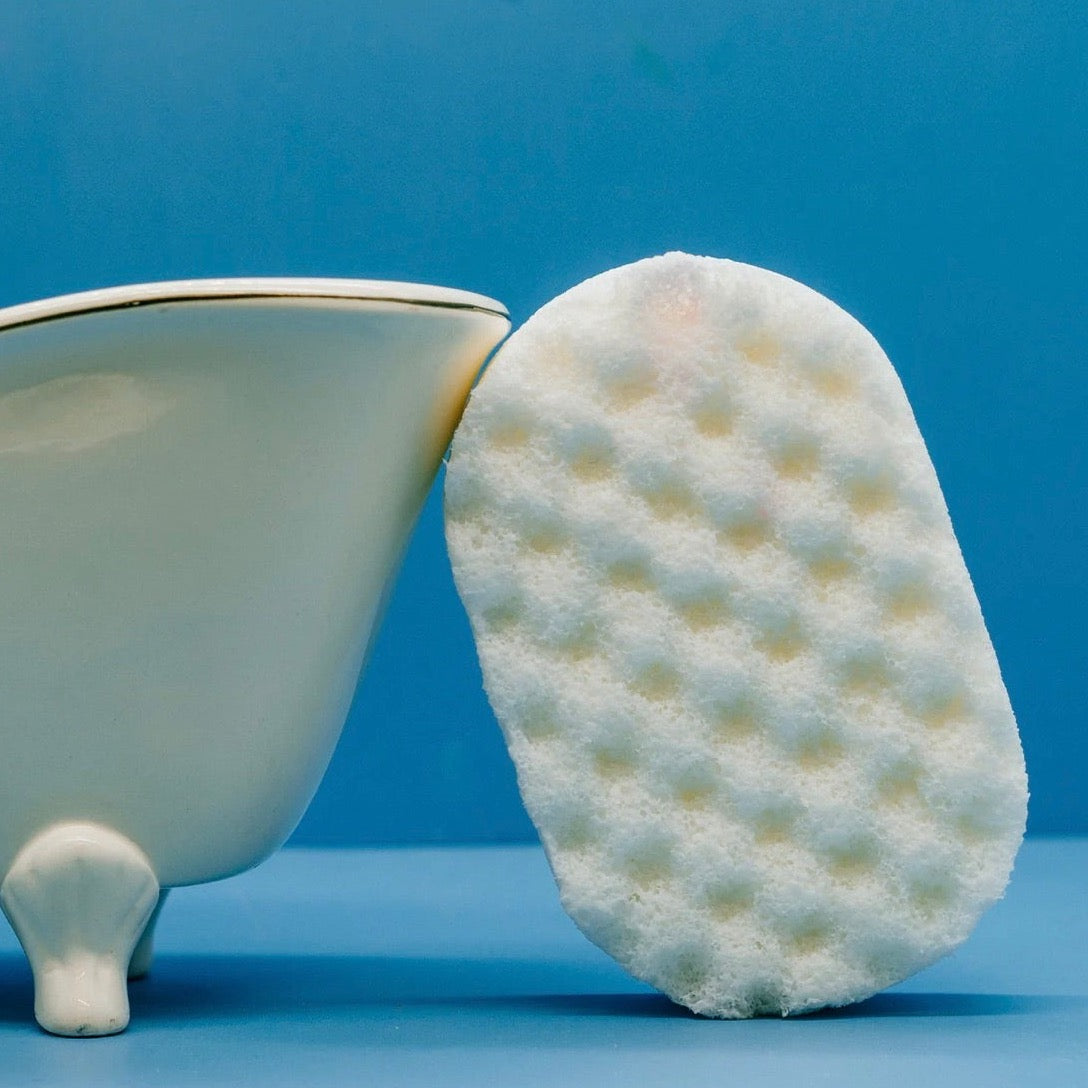 Dove Soap Sponge