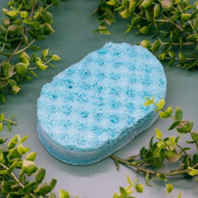 Mint Tingle Soap Sponge