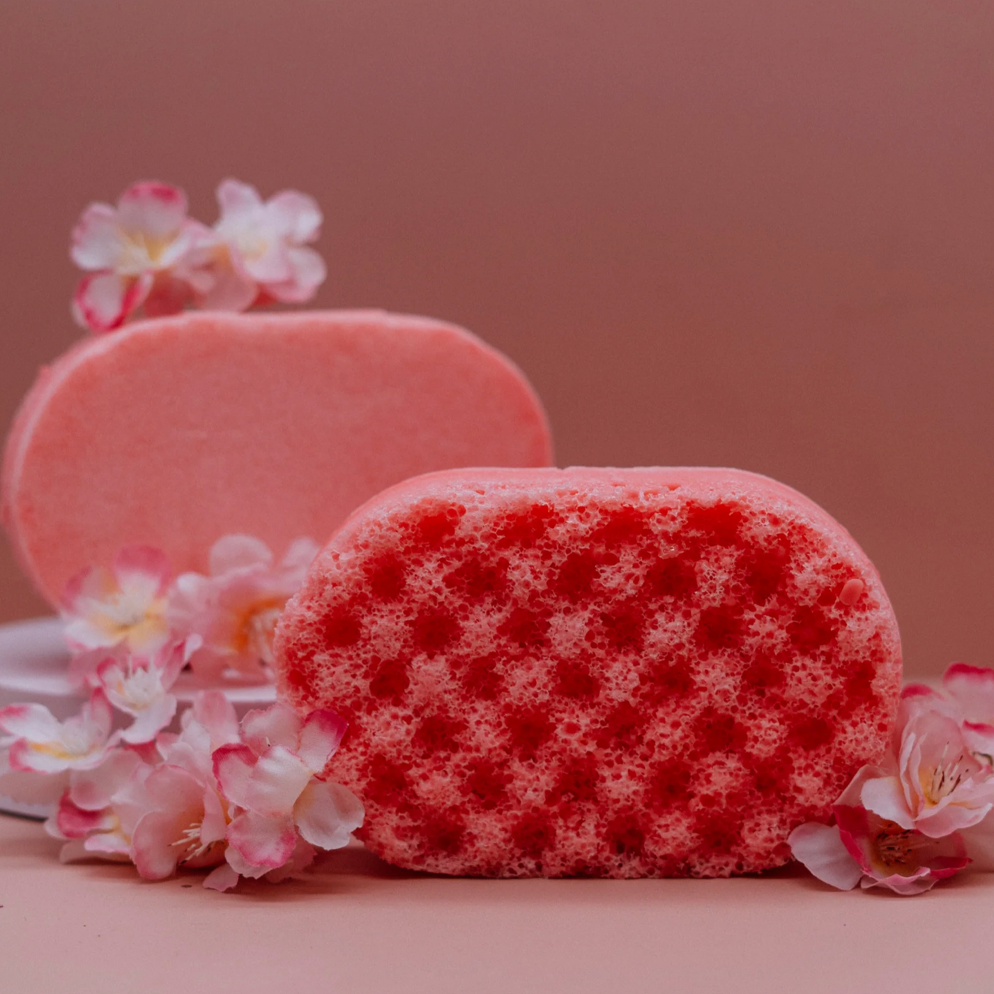 Fairytale Soap Sponge