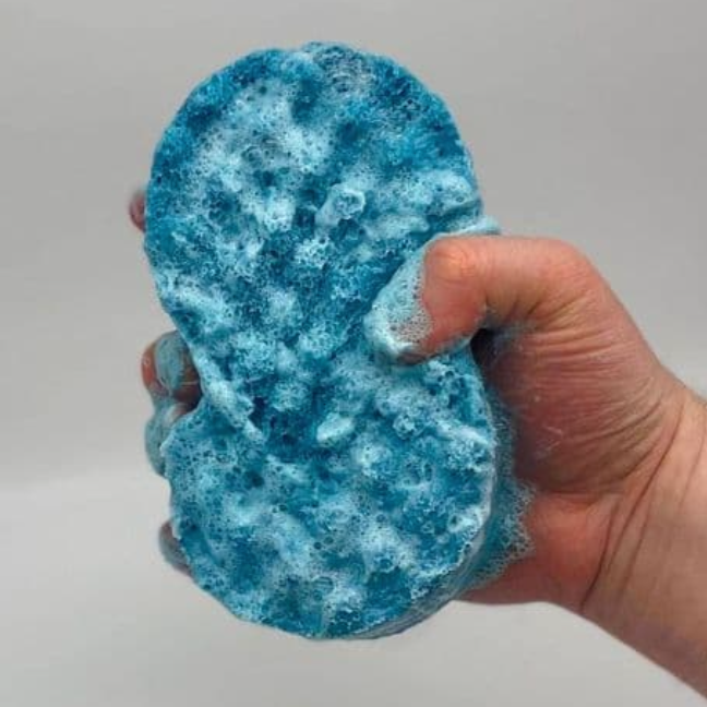 Kreed Soap Sponge